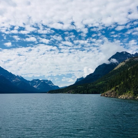 Meet your Posher, Iman - Picture 1 of 1